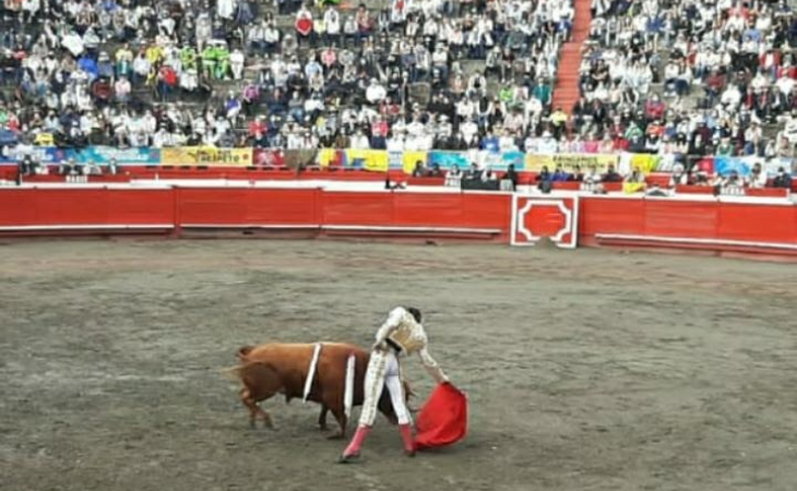 Se hundió el proyecto que buscaba prohibir las corridas de toros El